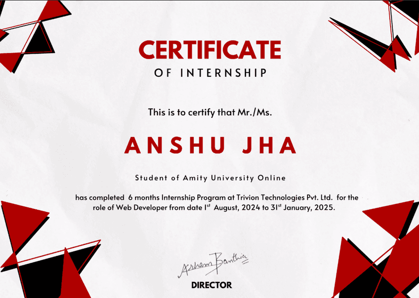 Web Developer Intern